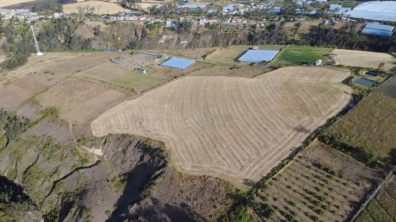 1000524249.jpg