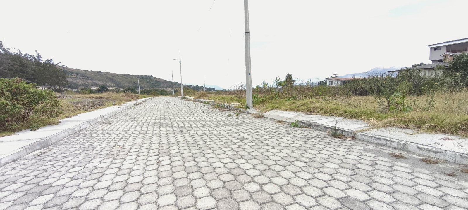 1000574236.jpg